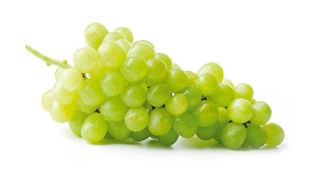 ÇEKİRDEKSİZ ÜZÜM